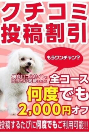 【終日】口コミ2000円割引